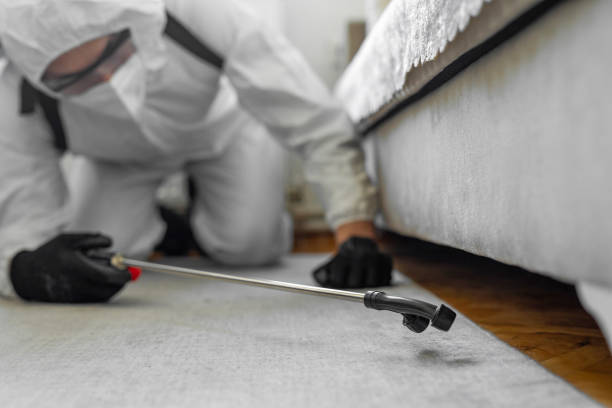 Professional Termite Control technician working in St. Anne, IL