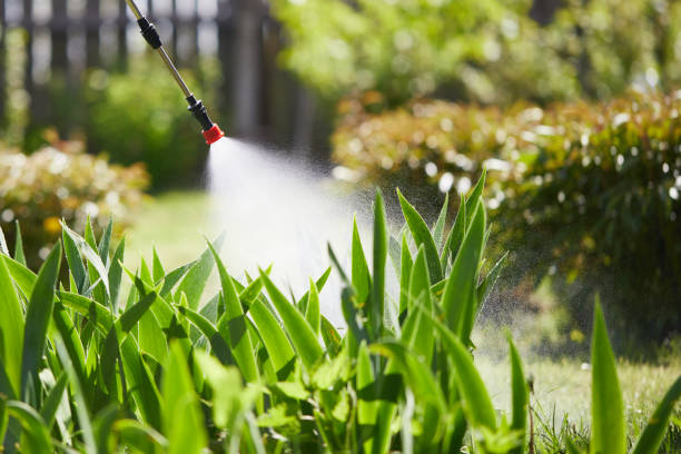 24/7 Emergency Termite Control experts in St. Anne, IL